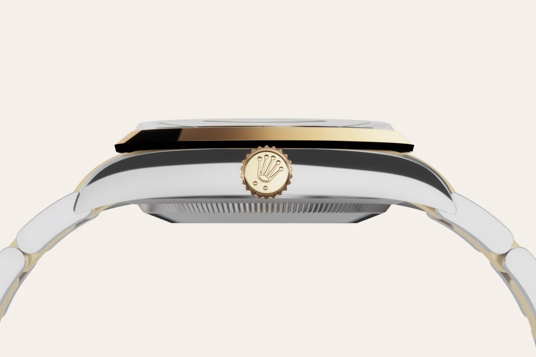 Rolex Explorer 36 in Oystersteel and yellow gold with Black dial, smooth bezel, and Oyster bracelet, m124273-0001 - Crisson