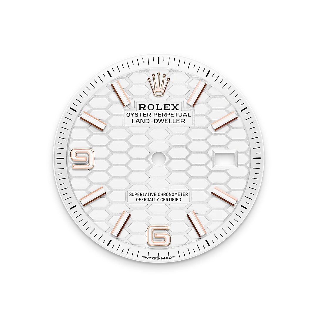 Rolex Land-Dweller 36 in Everose gold with an intense white dial, fluted bezel, and flat Jubilee bracelet, m127235-0001 - Crisson