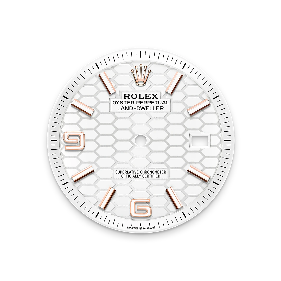 Rolex Land-Dweller 40 in Everose gold with an Intense white dial, fluted bezel, and flat Jubilee bracelet, m127335-0001 - Crisson